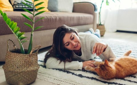 8 Things You Should Never Do When Adopting a Cat